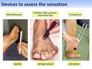 Monofilament
Cylinder with a plastic
and metal tips Tuning-fork
tactile temperature vibration
Devices to assess the sensation
 