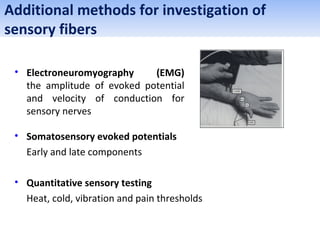 Additional methods for investigation of
sensory fibers
• Electroneuromyography (EMG)
the amplitude of evoked potential
and velocity of conduction for
sensory nerves
• Somatosensory evoked potentials
Early and late components
• Quantitative sensory testing
Heat, cold, vibration and pain thresholds
 