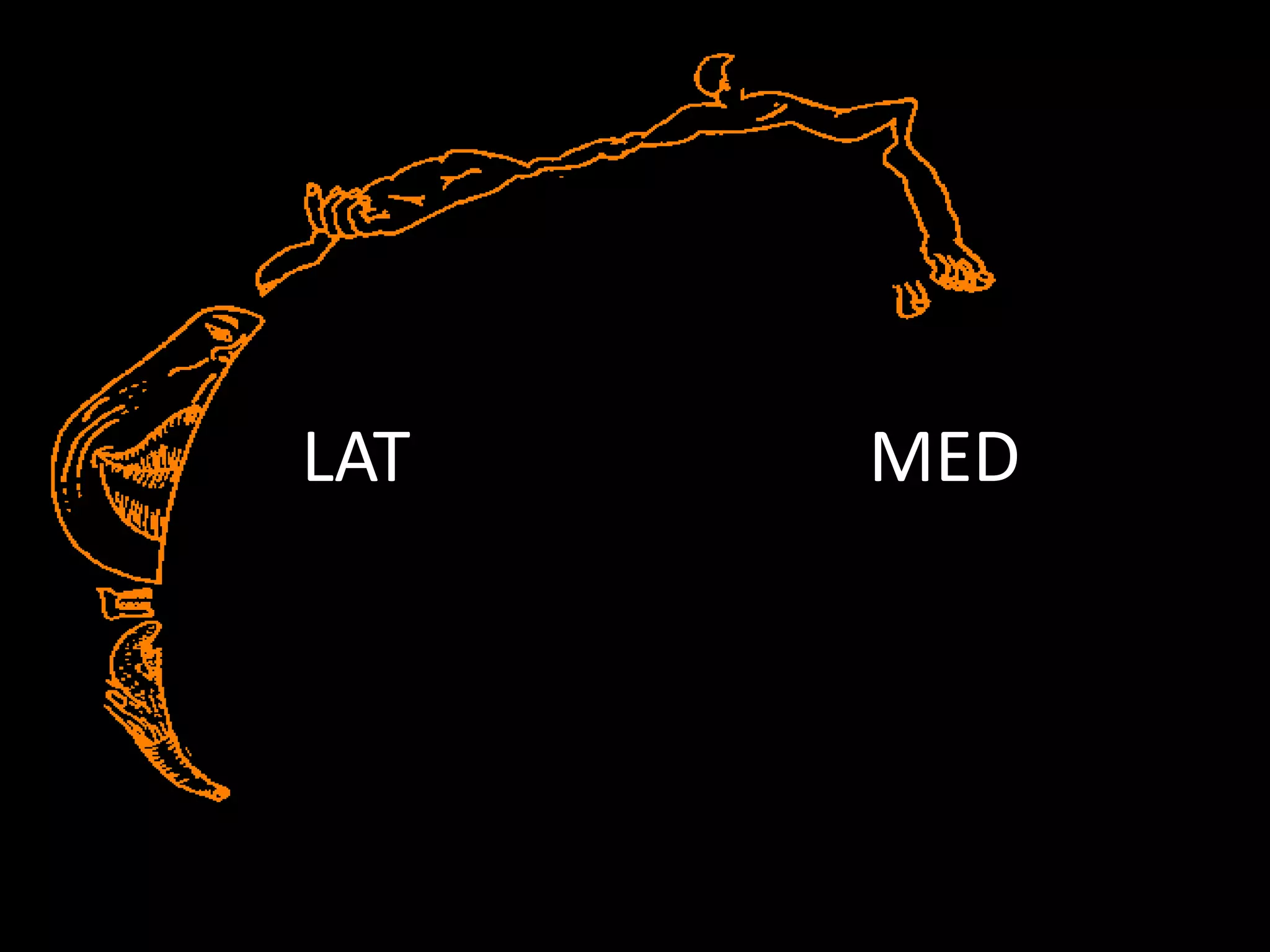 Sensory disturbances at the level of thalamus and cortex | PPTX