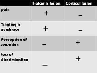 Sensory disturbances at the level of thalamus and cortex | PPTX