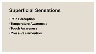 Superficial Sensations
◦Pain Perception
◦Temperature Awareness
◦Touch Awareness
◦Pressure Perception
 