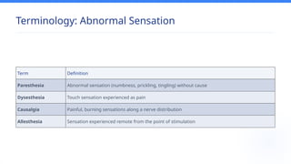 Comprehensive Sensory Examination and Dermatome Mapping in Physical ...