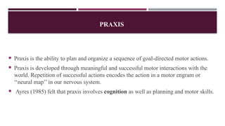 PRAXIS
 Praxis is the ability to plan and organize a sequence of goal-directed motor actions.
 Praxis is developed through meaningful and successful motor interactions with the
world. Repetition of successful actions encodes the action in a motor engram or
‘‘neural map’’ in our nervous system.
 Ayres (1985) felt that praxis involves cognition as well as planning and motor skills.
 