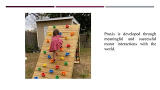 Praxis is developed through
meaningful and successful
motor interactions with the
world.
 