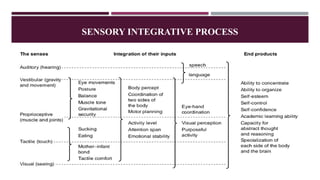 SENSORY INTEGRATIVE PROCESS
 