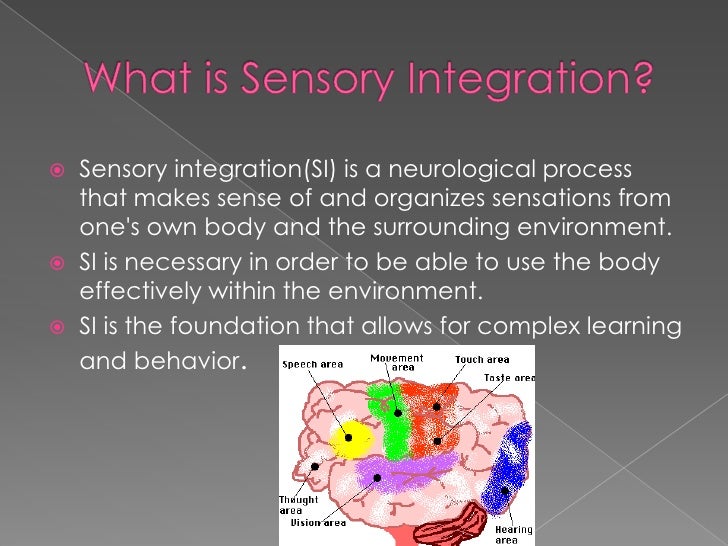 Sensory Integration Therapy