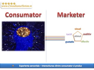 Sensory Marketing