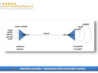 Sensory Marketing
