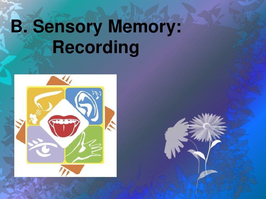 sensory memory sensory memory