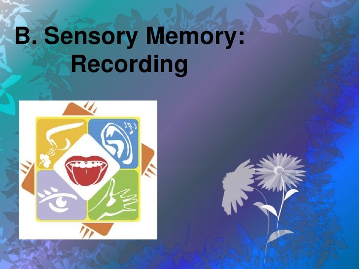Sensory memory