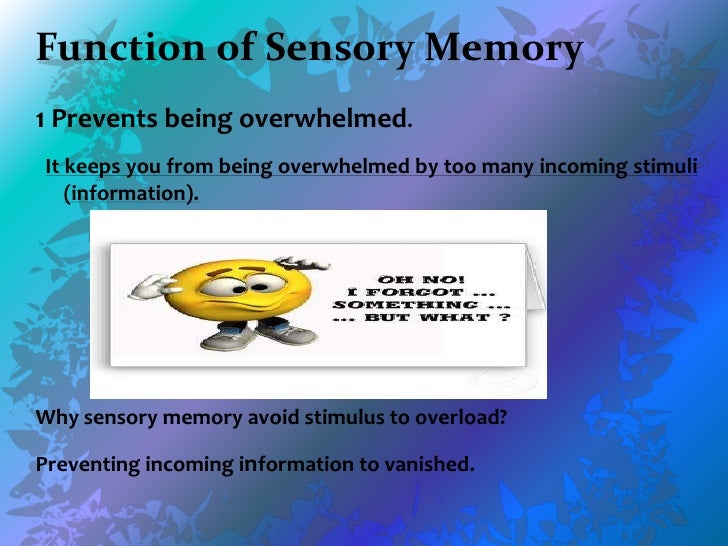 sensory memory pictures sensory memory pictures