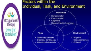 sensory motor