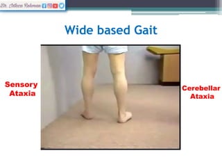 Sensory & Motor Examinations.pptx