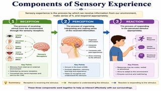  Sensory Needs: Insights by Bhabagrahi Priyadarshi Sahu