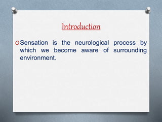 SENSORY NEEDS B.SC. NURSING SEMESTER II. | PPTX