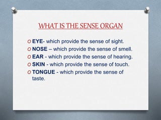 SENSORY NEEDS B.SC. NURSING SEMESTER II. | PPTX