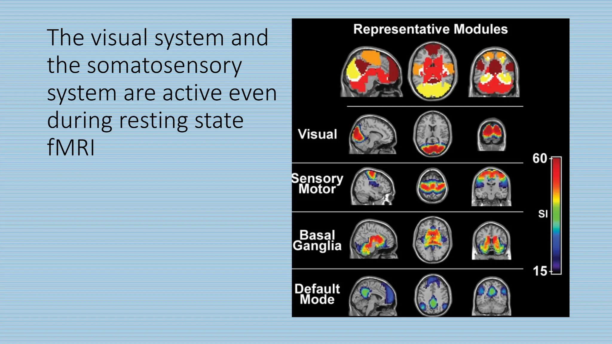 The visual system and
the somatosensory
system are active even
during resting state
fMRI
 