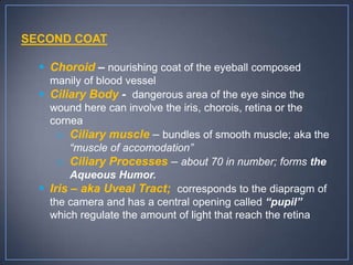 SECOND COAT

   Choroid – nourishing coat of the eyeball composed
    manily of blood vessel
   Ciliary Body - dangerous area of the eye since the
    wound here can involve the iris, chorois, retina or the
    cornea
      o Ciliary muscle – bundles of smooth muscle; aka the
         “muscle of accomodation”
      o Ciliary Processes – about 70 in number; forms the
         Aqueous Humor.
   Iris – aka Uveal Tract; corresponds to the diapragm of
    the camera and has a central opening called “pupil”
    which regulate the amount of light that reach the retina
 
