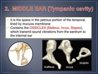  It is the space in the petrous portion of the temporal,
  lined by mucuos membrane
 Contains the OSSICLES (Malleus, Incus, Stapes),
  which transmit sound vibrations from the eardrum to
  the internal ear
 