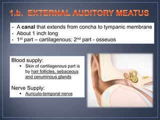 - A canal that extends from concha to tympanic membrane
- About 1 inch long
- 1st part – cartilagenous; 2nd part - osseuos


Blood supply:
    Skin of cartilagenous part is
     by hair follicles, sebaceous
     and ceruminous glands

Nerve Supply:
    Auriculo-temporal nerve
 