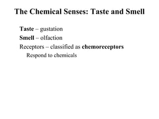 The Chemical Senses: Taste and Smell
• Taste – gustation
• Smell – olfaction
• Receptors – classified as chemoreceptors
• Respond to chemicals
 