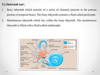 3.) Internal ear:
1. Bony labyrinth which consists of a series of channels (present in the petrous
portion of temporal bone). The bony labyrinth contains a fluid called perilymph.
2. Membranous labyrinth which lies within the bony labyrinth. The membranous
labyrinth is filled with a fluid called endolymph.
 