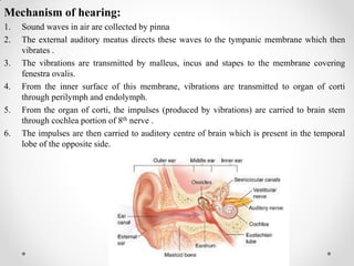 Mechanism of hearing:
1. Sound waves in air are collected by pinna
2. The external auditory meatus directs these waves to the tympanic membrane which then
vibrates .
3. The vibrations are transmitted by malleus, incus and stapes to the membrane covering
fenestra ovalis.
4. From the inner surface of this membrane, vibrations are transmitted to organ of corti
through perilymph and endolymph.
5. From the organ of corti, the impulses (produced by vibrations) are carried to brain stem
through cochlea portion of 8th nerve .
6. The impulses are then carried to auditory centre of brain which is present in the temporal
lobe of the opposite side.
 