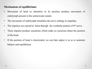 Mechanism of equilibrium:
• Movement of head or alteration in its position produce movement of
endolymph present in the semicircular canals.
• The movement of endolymph stimulates the nerve endings in ampullae.
• The impulses are carried to brain through the vestibular portion of 8th nerve.
• These impulse produce sensations which make us conscious about the position
of the head.
• If the position of head is disoriented, we can then adjust it so as to maintain
balance and equilibrium.
 