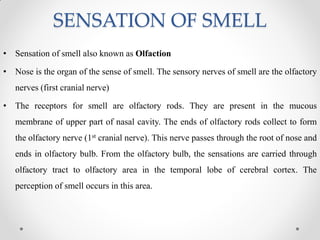 SENSATION OF SMELL
• Sensation of smell also known as Olfaction
• Nose is the organ of the sense of smell. The sensory nerves of smell are the olfactory
nerves (first cranial nerve)
• The receptors for smell are olfactory rods. They are present in the mucous
membrane of upper part of nasal cavity. The ends of olfactory rods collect to form
the olfactory nerve (1st cranial nerve). This nerve passes through the root of nose and
ends in olfactory bulb. From the olfactory bulb, the sensations are carried through
olfactory tract to olfactory area in the temporal lobe of cerebral cortex. The
perception of smell occurs in this area.
 