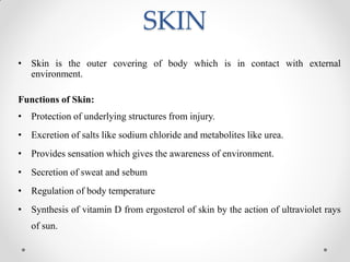 SKIN
• Skin is the outer covering of body which is in contact with external
environment.
Functions of Skin:
• Protection of underlying structures from injury.
• Excretion of salts like sodium chloride and metabolites like urea.
• Provides sensation which gives the awareness of environment.
• Secretion of sweat and sebum
• Regulation of body temperature
• Synthesis of vitamin D from ergosterol of skin by the action of ultraviolet rays
of sun.
 