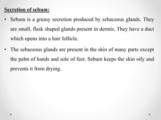 Secretion of sebum:
• Sebum is a greasy secretion produced by sebaceous glands. They
are small, flask shaped glands present in dermis. They have a duct
which opens into a hair follicle.
• The sebaceous glands are present in the skin of many parts except
the palm of hands and sole of feet. Sebum keeps the skin oily and
prevents it from drying.
 