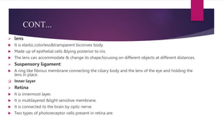 SENSORY ORGANS...(EYE).pptx