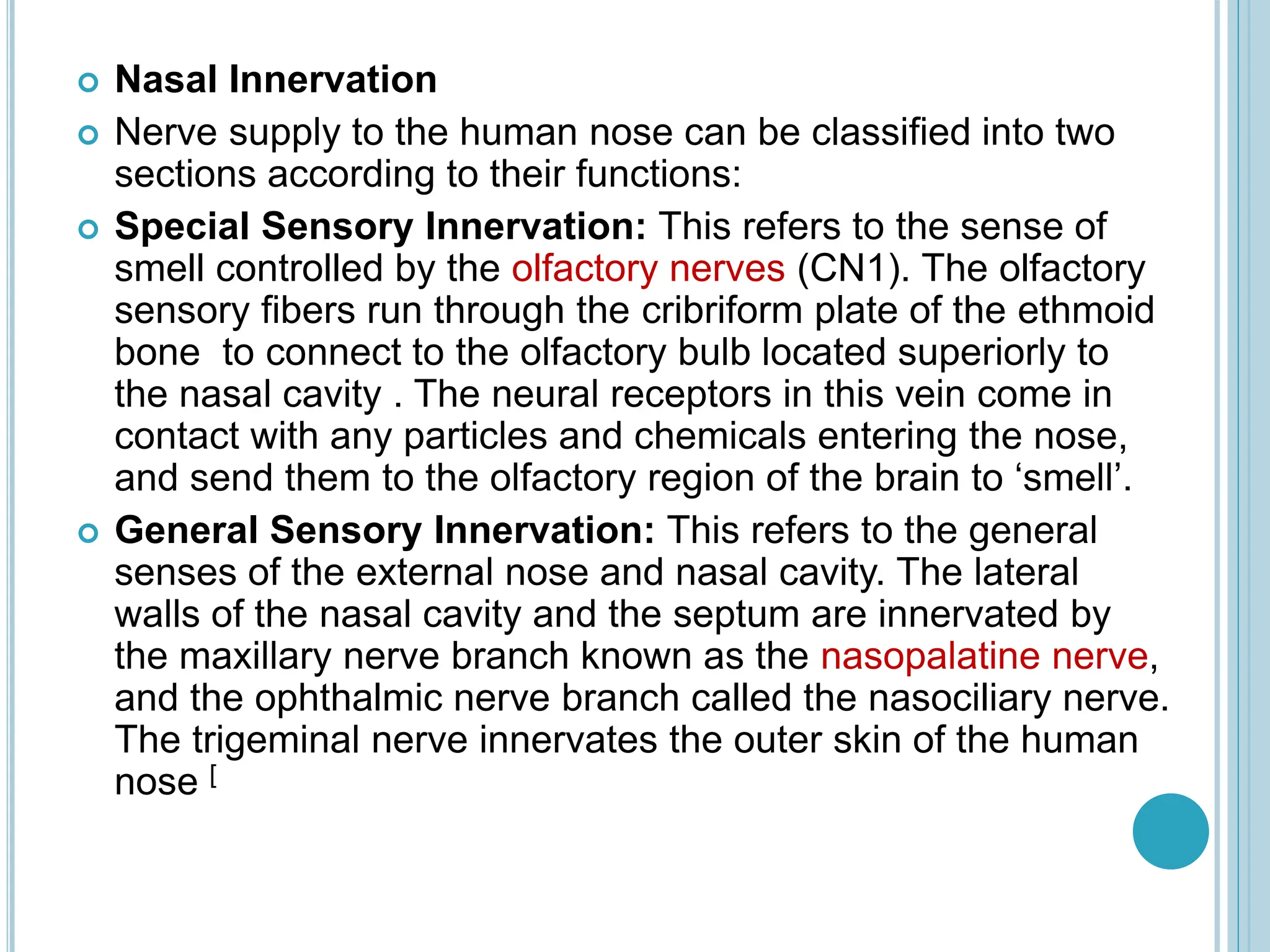 Smell Inervation The Sensory Organs ( Anatomy & Physiology) | PPTX