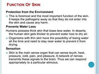 FUNCTION OF SKIN
Protection from the Environment
 This is foremost and the most important function of the skin.
It keeps the pathogens away so that they do not enter into
the skin and cause any harm.
Prevents Water Loss
Humans possess thick skin that loses less water. In deserts,
the human skin gets thicker to prevent water loss to dry air.
 Organisms with thin skin have the possibility of losing water
all the time and need to stay near water to prevent it from
drying.
Sensation
 Skin is the main sense organ that can sense touch, heat,
pressure, cold, pain, and pleasure. A network of nerves
transmits these signals to the brain. Thus we can respond
appropriately to a particular stimulus.
 