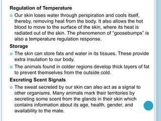 Regulation of Temperature
 Our skin loses water through perspiration and cools itself,
thereby, removing heat from the body. It also allows the hot
blood to move to the surface of the skin, where its heat is
radiated out of the skin. The phenomenon of “goosebumps” is
also a temperature regulation response.
Storage
 The skin can store fats and water in its tissues. These provide
extra insulation to our body.
 The animals found in colder regions develop thick layers of fat
to prevent themselves from the outside cold.
Excreting Scent Signals
 The sweat secreted by our skin can also act as a signal to
other organisms. Many animals mark their territories by
secreting some scent from the glands in their skin which
contains information about its age, health, gender, and
availability to the mate.
 