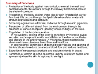 Summary of Functions
 Protection of the body against mechanical, chemical, thermal, and
bacterial agents, this occurs through the heavily keratinized cells of
the stratum corneum.
 Protection of the body against water loss or gain (waterproof-barrier
function), this occurs through the lipid-rich extracellular material in
stratum granulosum and corneum.
 Screening against sun ultraviolet radiation through melanin pigments.
 Perception of different stimuli from the environment through the
presence of various receptors (sensory nerve endings) in the skin.
 Regulation of the body temperature:
– In hot weather, cooling of the body is enhanced by increase sweat
secretion and evaporation with vasodilation of the dermal capillaries
and closure of the arteriovenous (A-V) shunts, these mechanisms
allow maximum cutaneous blood flow and heat loss.
– In cold weather, constriction of dermal blood vessels and opening of
the A-V shunts to reduce cutaneous blood flow and reduce heat loss.
 Excretion of nitrogenous products and sodium chloride in sweat.
 Formation of vitamin D in the epidermis (mainly in stratum basale and
spinosum) when the skin is exposed to sunlight.
 