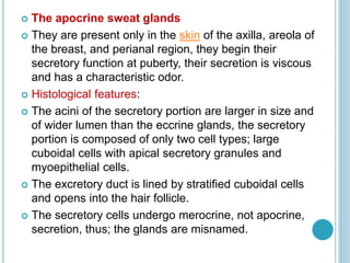 The Sensory Organs ( Anatomy & Physiology) | PPTX