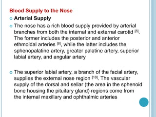 Blood Supply to the Nose
 Arterial Supply
 The nose has a rich blood supply provided by arterial
branches from both the internal and external carotid [8].
The former includes the posterior and anterior
ethmoidal arteries [8], while the latter includes the
sphenopalatine artery, greater palatine artery, superior
labial artery, and angular artery
 The superior labial artery, a branch of the facial artery,
supplies the external nose region [10]. The vascular
supply of the dorsal and sellar (the area in the sphenoid
bone housing the pituitary gland) regions come from
the internal maxillary and ophthalmic arteries
 