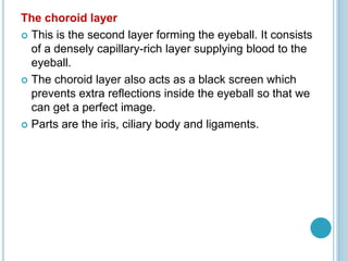 The choroid layer
 This is the second layer forming the eyeball. It consists
of a densely capillary-rich layer supplying blood to the
eyeball.
 The choroid layer also acts as a black screen which
prevents extra reflections inside the eyeball so that we
can get a perfect image.
 Parts are the iris, ciliary body and ligaments.
 