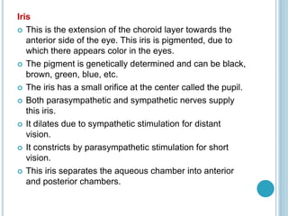 Iris
 This is the extension of the choroid layer towards the
anterior side of the eye. This iris is pigmented, due to
which there appears color in the eyes.
 The pigment is genetically determined and can be black,
brown, green, blue, etc.
 The iris has a small orifice at the center called the pupil.
 Both parasympathetic and sympathetic nerves supply
this iris.
 It dilates due to sympathetic stimulation for distant
vision.
 It constricts by parasympathetic stimulation for short
vision.
 This iris separates the aqueous chamber into anterior
and posterior chambers.
 