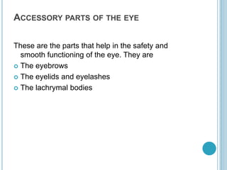 ACCESSORY PARTS OF THE EYE
These are the parts that help in the safety and
smooth functioning of the eye. They are
 The eyebrows
 The eyelids and eyelashes
 The lachrymal bodies
 
