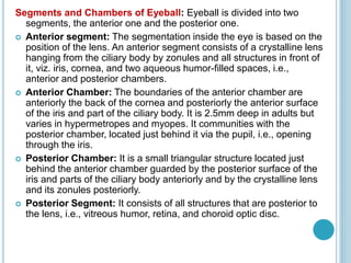 Segments and Chambers of Eyeball: Eyeball is divided into two
segments, the anterior one and the posterior one.
 Anterior segment: The segmentation inside the eye is based on the
position of the lens. An anterior segment consists of a crystalline lens
hanging from the ciliary body by zonules and all structures in front of
it, viz. iris, cornea, and two aqueous humor-filled spaces, i.e.,
anterior and posterior chambers.
 Anterior Chamber: The boundaries of the anterior chamber are
anteriorly the back of the cornea and posteriorly the anterior surface
of the iris and part of the ciliary body. It is 2.5mm deep in adults but
varies in hypermetropes and myopes. It communities with the
posterior chamber, located just behind it via the pupil, i.e., opening
through the iris.
 Posterior Chamber: It is a small triangular structure located just
behind the anterior chamber guarded by the posterior surface of the
iris and parts of the ciliary body anteriorly and by the crystalline lens
and its zonules posteriorly.
 Posterior Segment: It consists of all structures that are posterior to
the lens, i.e., vitreous humor, retina, and choroid optic disc.
 