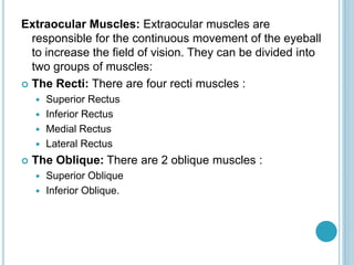 Extraocular Muscles: Extraocular muscles are
responsible for the continuous movement of the eyeball
to increase the field of vision. They can be divided into
two groups of muscles:
 The Recti: There are four recti muscles :
 Superior Rectus
 Inferior Rectus
 Medial Rectus
 Lateral Rectus
 The Oblique: There are 2 oblique muscles :
 Superior Oblique
 Inferior Oblique.
 