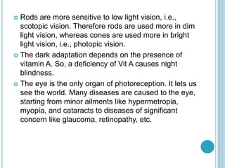  Rods are more sensitive to low light vision, i.e.,
scotopic vision. Therefore rods are used more in dim
light vision, whereas cones are used more in bright
light vision, i.e., photopic vision.
 The dark adaptation depends on the presence of
vitamin A. So, a deficiency of Vit A causes night
blindness.
 The eye is the only organ of photoreception. It lets us
see the world. Many diseases are caused to the eye,
starting from minor ailments like hypermetropia,
myopia, and cataracts to diseases of significant
concern like glaucoma, retinopathy, etc.
 