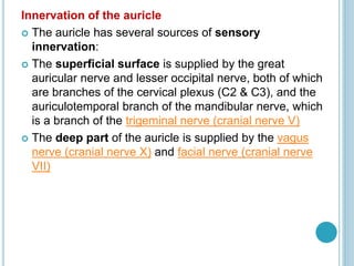 Innervation of the auricle
 The auricle has several sources of sensory
innervation:
 The superficial surface is supplied by the great
auricular nerve and lesser occipital nerve, both of which
are branches of the cervical plexus (C2 & C3), and the
auriculotemporal branch of the mandibular nerve, which
is a branch of the trigeminal nerve (cranial nerve V)
 The deep part of the auricle is supplied by the vagus
nerve (cranial nerve X) and facial nerve (cranial nerve
VII)
 