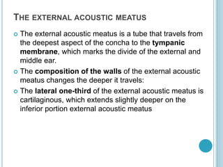 THE EXTERNAL ACOUSTIC MEATUS
 The external acoustic meatus is a tube that travels from
the deepest aspect of the concha to the tympanic
membrane, which marks the divide of the external and
middle ear.
 The composition of the walls of the external acoustic
meatus changes the deeper it travels:
 The lateral one-third of the external acoustic meatus is
cartilaginous, which extends slightly deeper on the
inferior portion external acoustic meatus
 