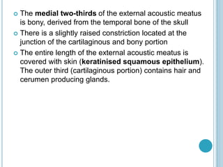  The medial two-thirds of the external acoustic meatus
is bony, derived from the temporal bone of the skull
 There is a slightly raised constriction located at the
junction of the cartilaginous and bony portion
 The entire length of the external acoustic meatus is
covered with skin (keratinised squamous epithelium).
The outer third (cartilaginous portion) contains hair and
cerumen producing glands.
 