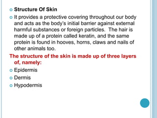  Structure Of Skin
 It provides a protective covering throughout our body
and acts as the body’s initial barrier against external
harmful substances or foreign particles. The hair is
made up of a protein called keratin, and the same
protein is found in hooves, horns, claws and nails of
other animals too.
The structure of the skin is made up of three layers
of, namely:
 Epidermis
 Dermis
 Hypodermis
 