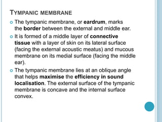 TYMPANIC MEMBRANE
 The tympanic membrane, or eardrum, marks
the border between the external and middle ear.
 It is formed of a middle layer of connective
tissue with a layer of skin on its lateral surface
(facing the external acoustic meatus) and mucous
membrane on its medial surface (facing the middle
ear).
 The tympanic membrane lies at an oblique angle
that helps maximise the efficiency in sound
localisation. The external surface of the tympanic
membrane is concave and the internal surface
convex.
 
