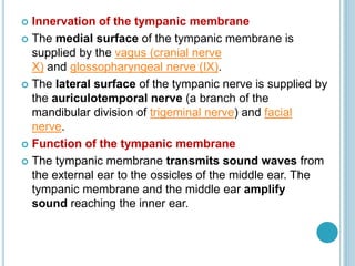  Innervation of the tympanic membrane
 The medial surface of the tympanic membrane is
supplied by the vagus (cranial nerve
X) and glossopharyngeal nerve (IX).
 The lateral surface of the tympanic nerve is supplied by
the auriculotemporal nerve (a branch of the
mandibular division of trigeminal nerve) and facial
nerve.
 Function of the tympanic membrane
 The tympanic membrane transmits sound waves from
the external ear to the ossicles of the middle ear. The
tympanic membrane and the middle ear amplify
sound reaching the inner ear.
 